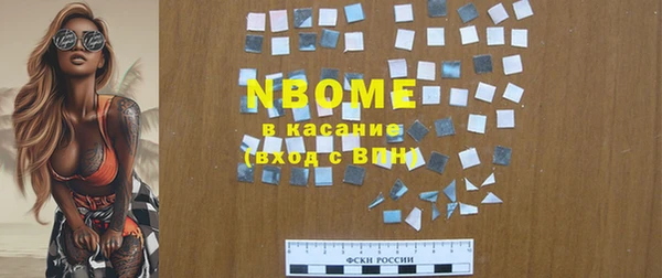 хмурый Алексин