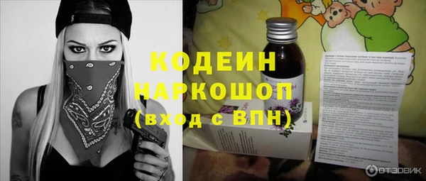 хмурый Алексин