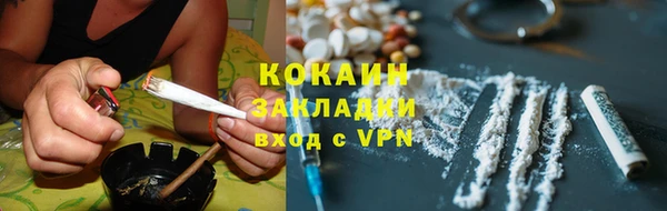 хмурый Алексин