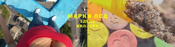 хмурый Алексин