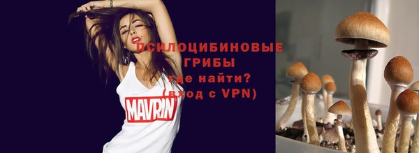 винт Алзамай