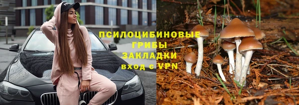 винт Алзамай