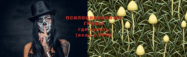 хмурый Алексин