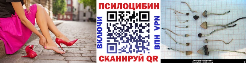 дарнет шоп  Тайшет  это как зайти  Галлюциногенные грибы ЛСД 
